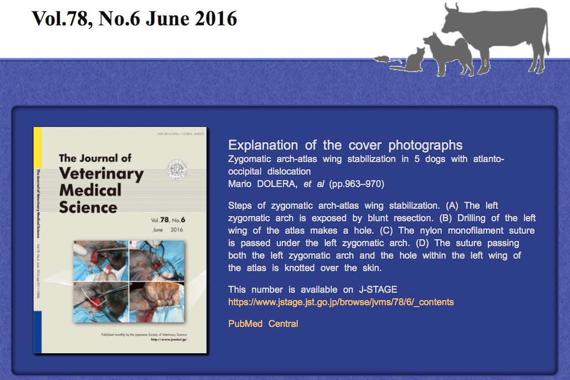 Scopri di più sull'articolo Journal of Veterinary – Vol.78